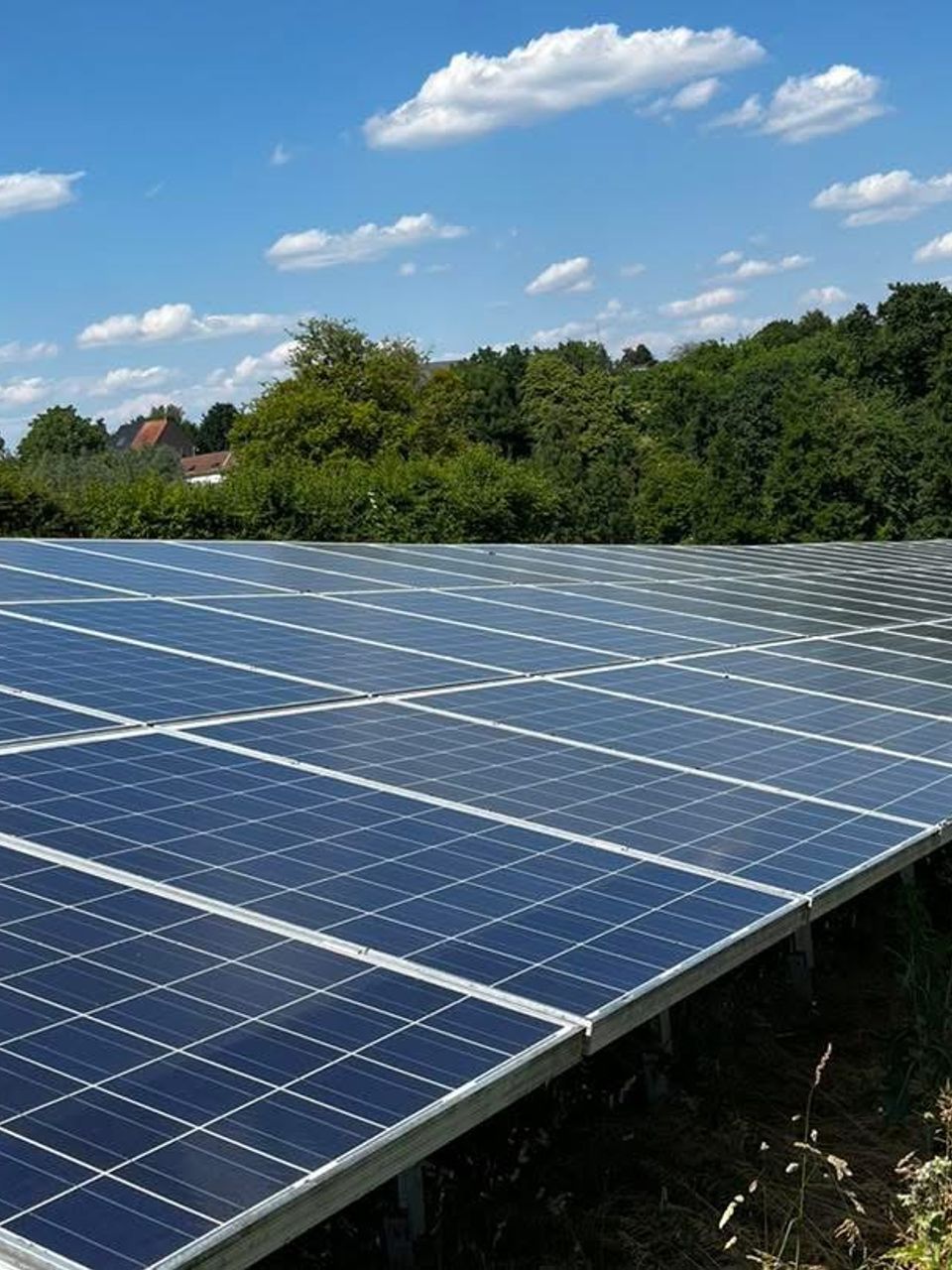 Grand parc de panneaux photovoltaïques au sol entièrement propres après nettoyage dans un champ à Quiévrain - My Clean Glass